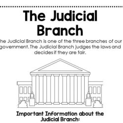 Judical branch in a flash