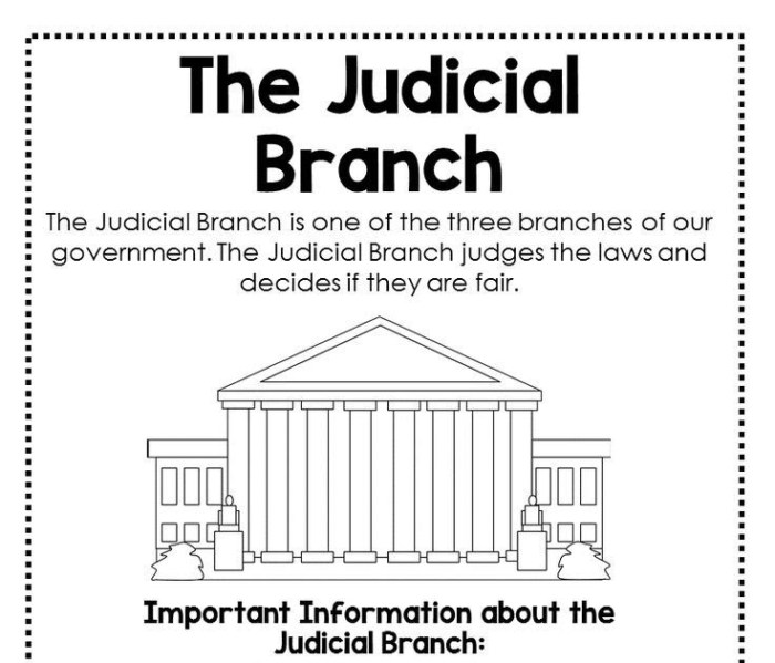 Judical branch in a flash