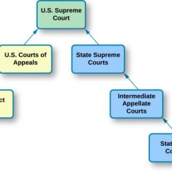 Double take: dual court system answer key