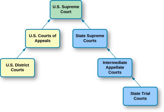 Double take: dual court system answer key