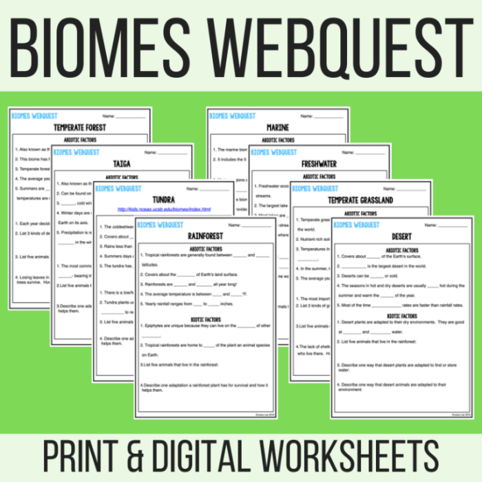 The world's terrestrial biomes webquest