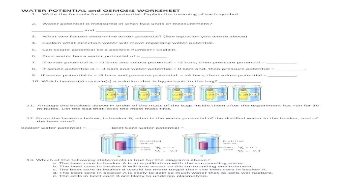 Water potential worksheet ap biology