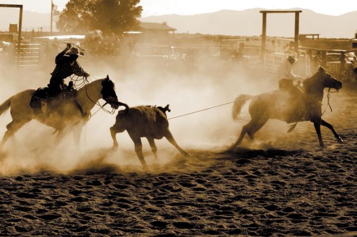 Crossfire penalty in team roping