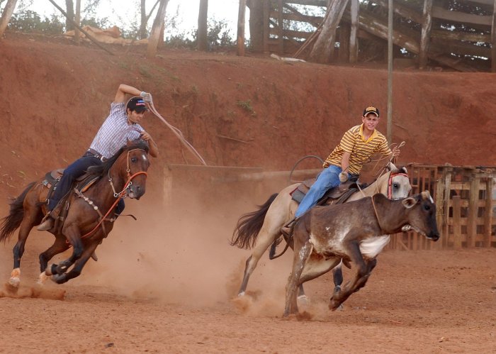 Roping competition theeagle