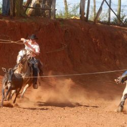 Rodeo wyoming crossfire penalty roping