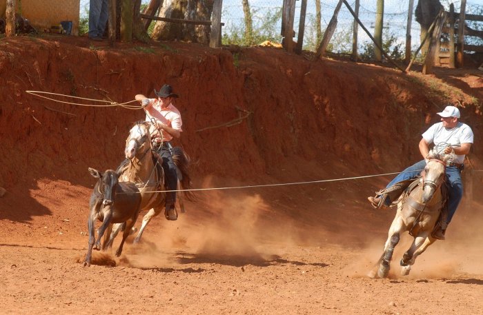 Rodeo wyoming crossfire penalty roping