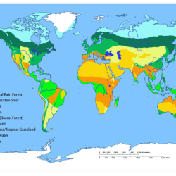 Biome biomes science pyramid climate ecosystems land geography zones chart tundra rainforest temperate terrestrial tropical environment diagram forest distribution grassland