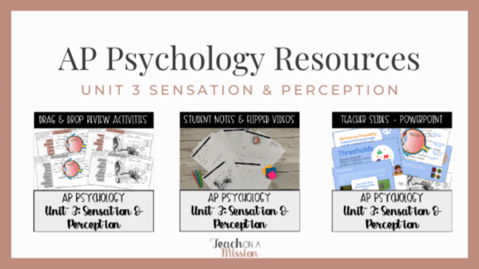 Ap psychology unit 3 sensation and perception practice test