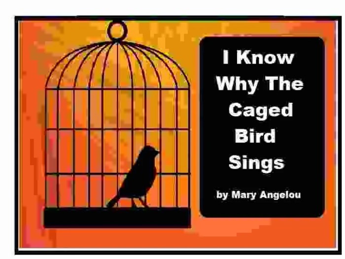 I know why the caged bird cannot read fallacies