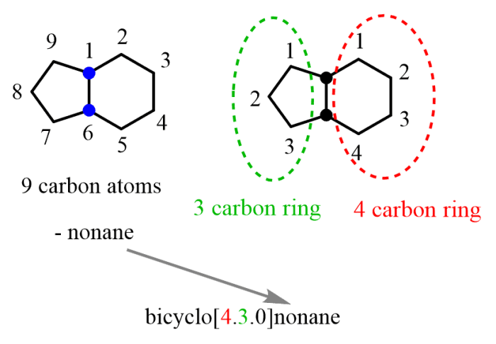 Identify the electrophilic site in the following molecule