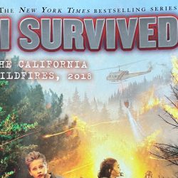 I survived the california wildfires 2018 summary